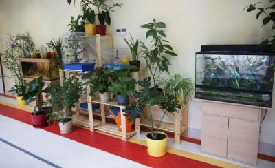 Частный детский сад  при Хорошевской прогимназии