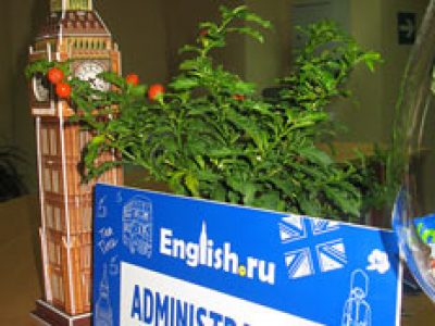 Языковая школа English.ru 