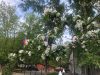 Частная школа 
