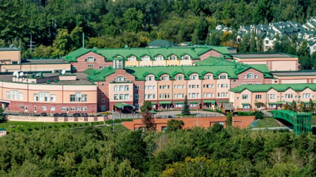 Англо-американская школа