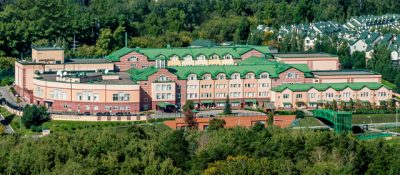 Англо-американская школа