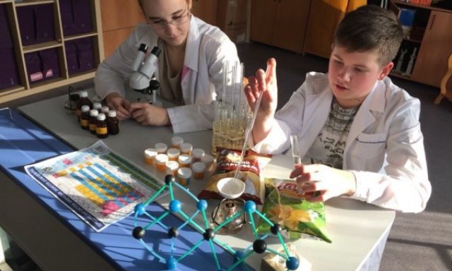 Частная школа «Первая Школа»