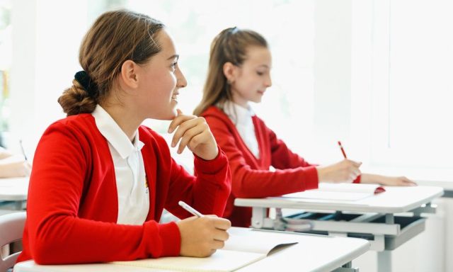 Английская школа MCS