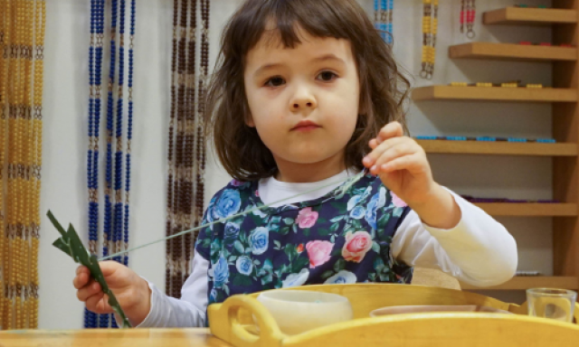 Московская Монтессори школа (Montessori School of Moscow)